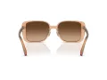 Coach Ch562 HC 8375 574974 56 Women sunglasses