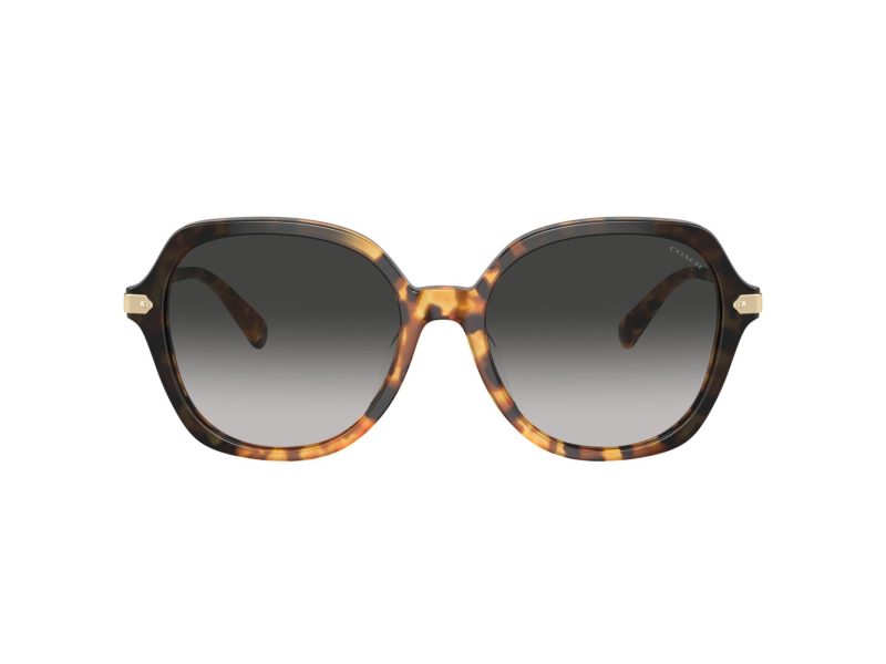 Coach Cl925 HC 8377U 577613 55 Women sunglasses