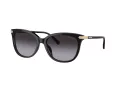 Coach Cl926 HC 8378U 50028G 57 Women sunglasses