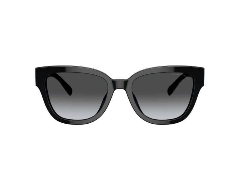 Coach Cl920 HC 8379U 5002T3 54 Women sunglasses