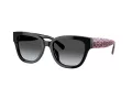 Coach Cl920 HC 8379U 5002T3 54 Women sunglasses