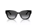 Coach Cl920 HC 8379U 5002T3 54 Women sunglasses
