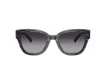 Coach Cl920 HC 8379U 55208G 54 Women sunglasses
