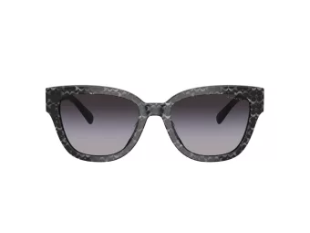 Coach Cl920 HC 8379U 55208G 54 Women sunglasses