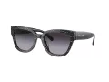Coach Cl920 HC 8379U 55208G 54 Women sunglasses