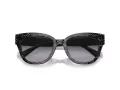Coach Cl920 HC 8379U 55208G 54 Women sunglasses