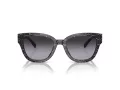 Coach Cl920 HC 8379U 55208G 54 Women sunglasses