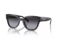 Coach Cl920 HC 8379U 55208G 54 Women sunglasses