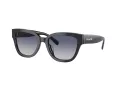 Coach Cl920 HC 8379U 57654L 54 Women sunglasses