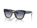 Coach Cl920 HC 8379U 57654L 54 Women sunglasses