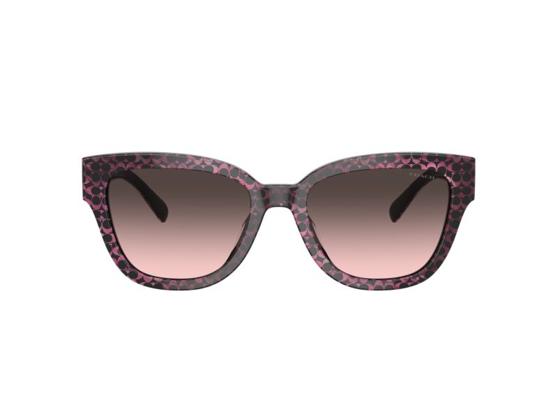 Coach Cl920 HC 8379U 578346 54 Women sunglasses