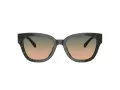 Coach Cl920 HC 8379U 578413 54 Women sunglasses