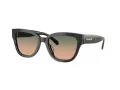 Coach Cl920 HC 8379U 578413 54 Women sunglasses