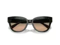 Coach Cl920 HC 8379U 578413 54 Women sunglasses
