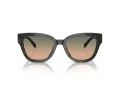 Coach Cl920 HC 8379U 578413 54 Women sunglasses