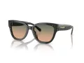 Coach Cl920 HC 8379U 578413 54 Women sunglasses