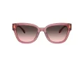 Coach Cl920 HC 8379U 580046 54 Women sunglasses