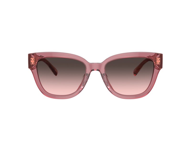 Coach Cl920 HC 8379U 580046 54 Women sunglasses