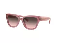 Coach Cl920 HC 8379U 580046 54 Women sunglasses