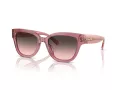 Coach Cl920 HC 8379U 580046 54 Women sunglasses