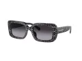 Coach Cl922 HC 8380U 55208G 54 Women sunglasses