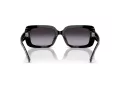 Coach Cl922 HC 8380U 55208G 54 Women sunglasses