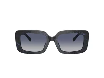 Coach Cl922 HC 8380U 57654L 54 Women sunglasses