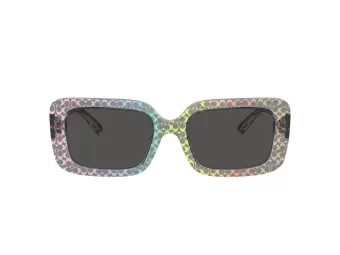 Coach Cl922 HC 8380U 583587 54 Women sunglasses