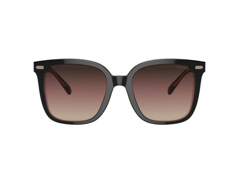 Coach Cl918 HC 8381U 5781E2 54 Women sunglasses