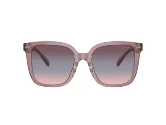Coach Cl918 HC 8381U 57820J 54 Women sunglasses
