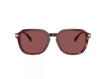 Coach Cl912 HC 8383U 579875 55 Men sunglasses