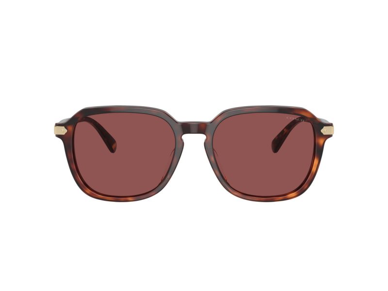 Coach Cl912 HC 8383U 579875 55 Men sunglasses