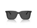 Coach Cl910 HC 8385U 579387 54 Men sunglasses