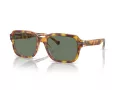 Coach Cl914 HC 8388U 57563H 56 Men sunglasses