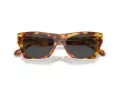 Coach Cl917 HC 8389U 575687 52 Women sunglasses