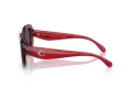 Coach Cr609 HC 8391U 586287 53 Women sunglasses