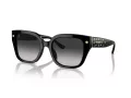 Coach Cr611 HC 8392U 50023C 53 Women sunglasses
