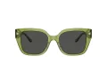 Coach Cr611 HC 8392U 581087 53 Women sunglasses