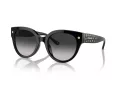 Coach Cr612 HC 8393U 50023C 53 Women sunglasses