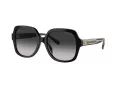 Coach Cr614 HC 8395U 50023C 54 Women sunglasses