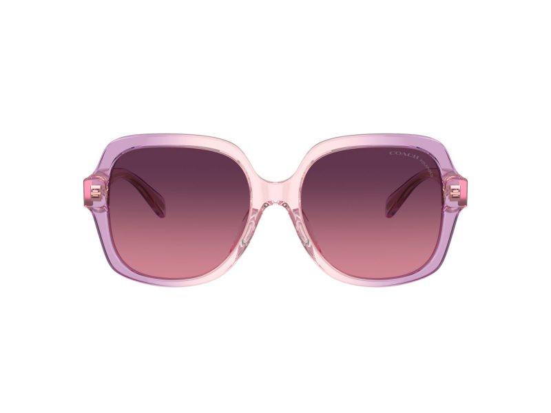 Coach Cr614 HC 8395U 5813F4 54 Women sunglasses
