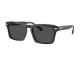 Coach Cr628 HC 8397U 581787 57 Men sunglasses