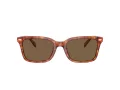 Coach Cr630 HC 8398U 577473 54 Men sunglasses