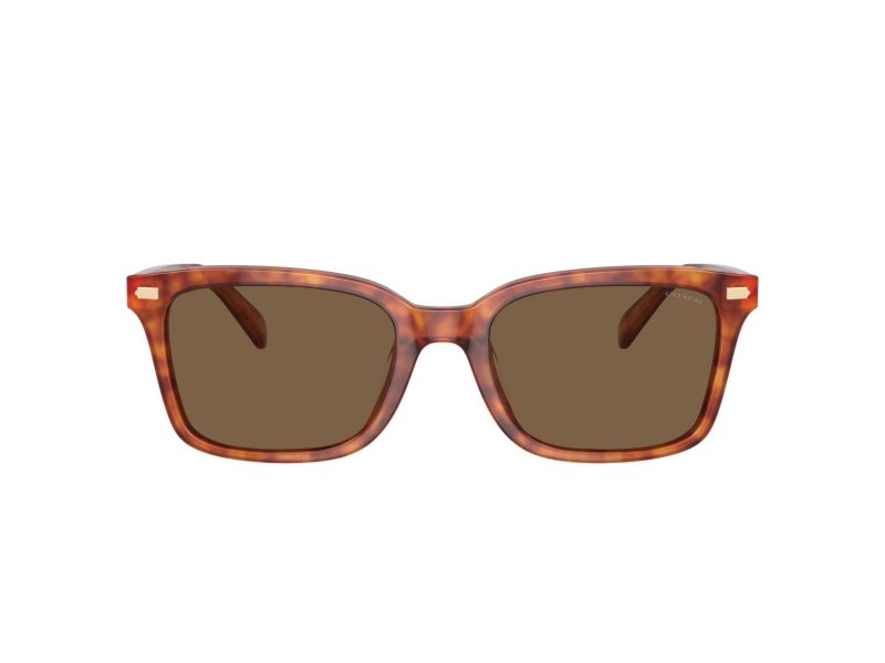 Coach Cr630 HC 8398U 577473 54 Men sunglasses