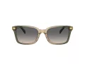 Coach Cr630 HC 8398U 5797G9 54 Men sunglasses