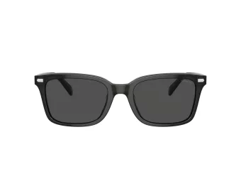 Coach Cr630 HC 8398U 581787 54 Men sunglasses