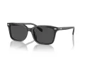 Coach Cr630 HC 8398U 581787 54 Men sunglasses