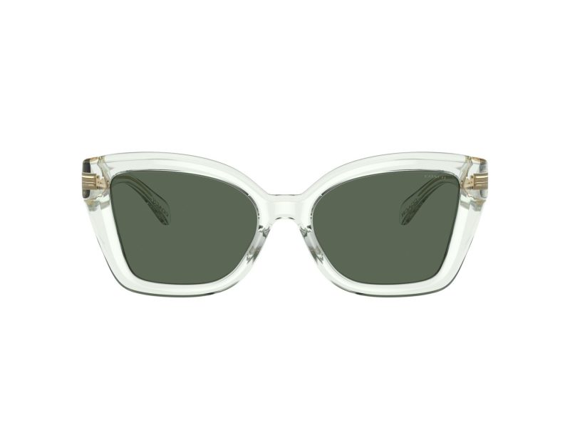 Coach Cs544 HC 8405U 583271 54 Women sunglasses