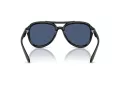 Coach Cw183 HC 8406U 500287 55 Women sunglasses