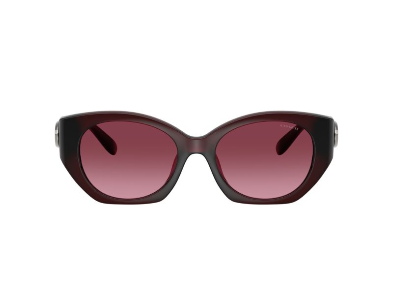 Coach Cw194 HC 8407U 53938H 52 Women sunglasses